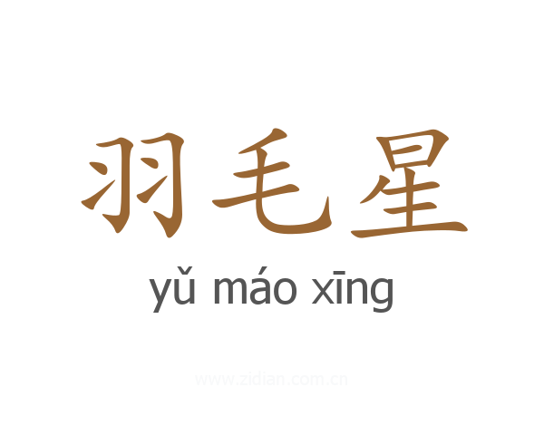 羽毛星