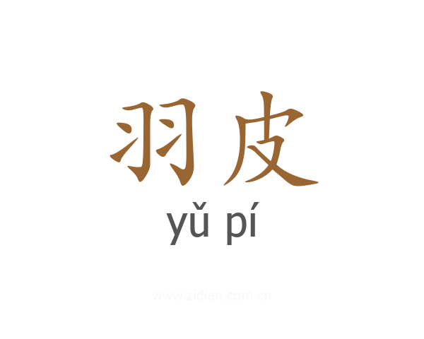 羽皮