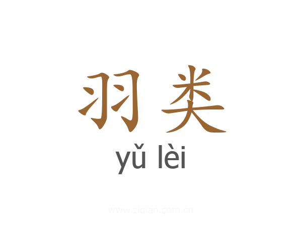 羽类