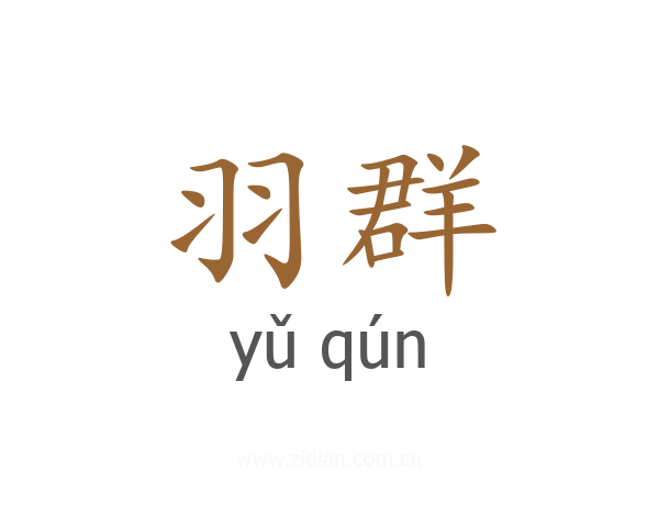 羽群