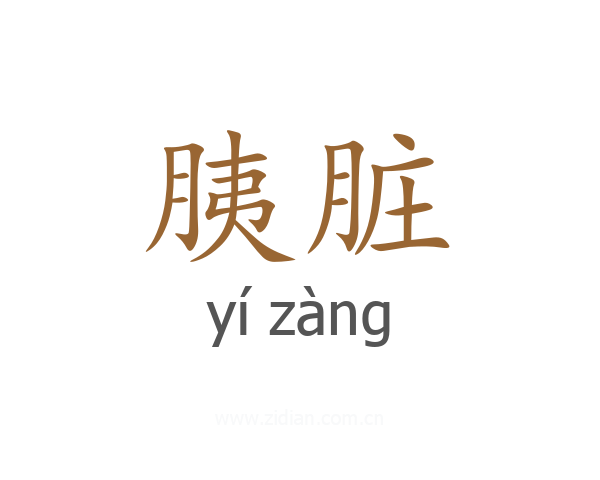 胰脏