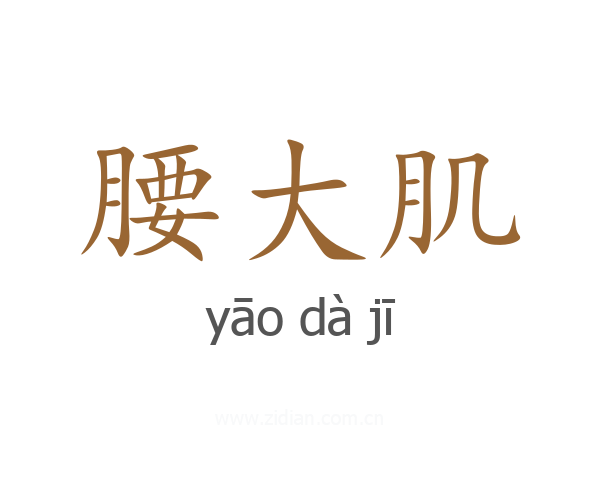 腰大肌