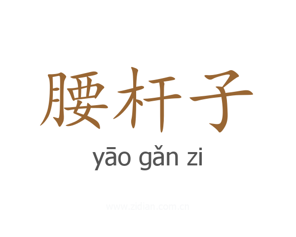 腰杆子