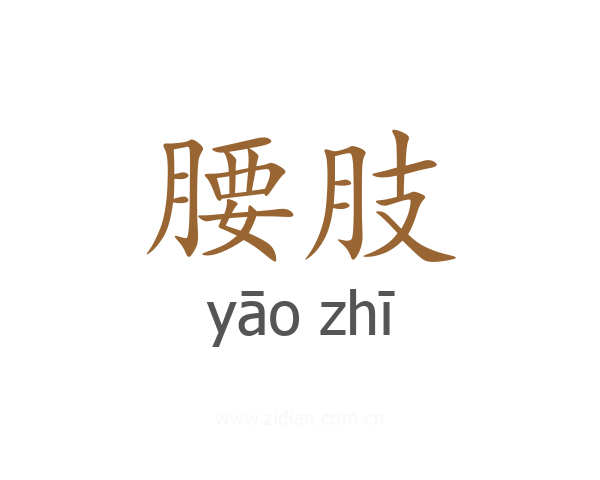 腰肢