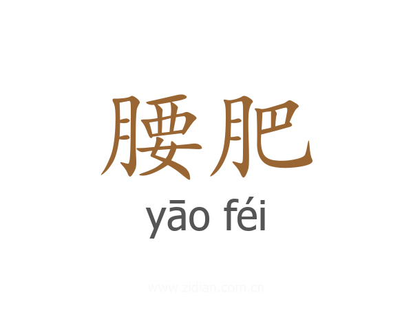 腰肥