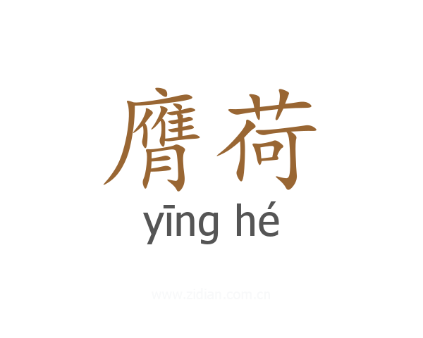 膺荷