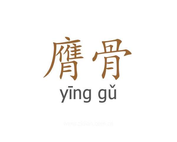 膺骨