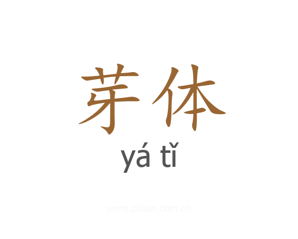 芽体