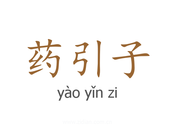 药引子