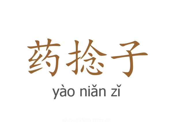 药捻子