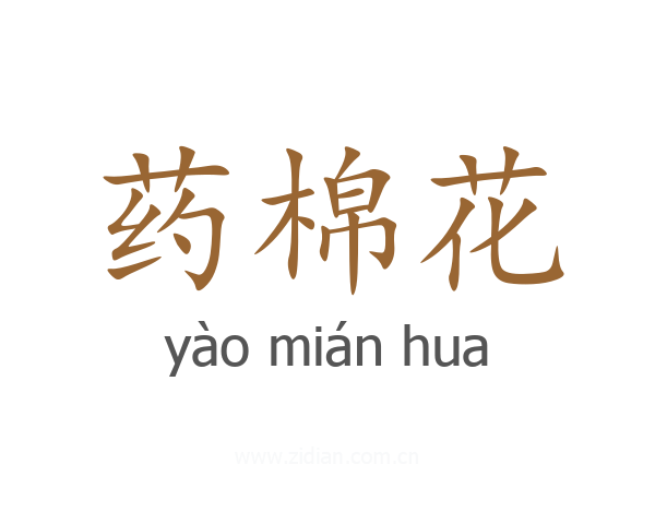药棉花