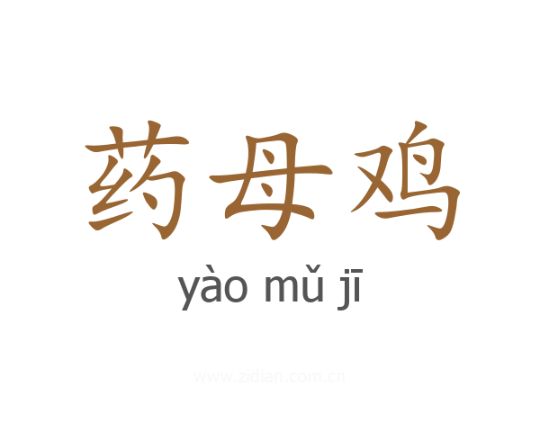 药母鸡