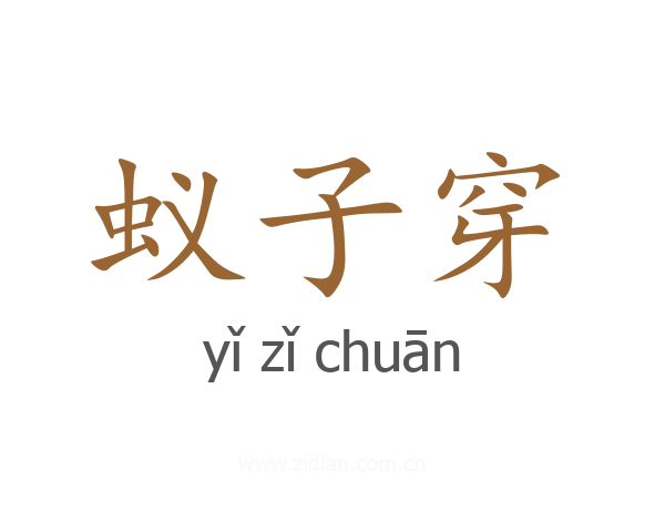 蚁子穿