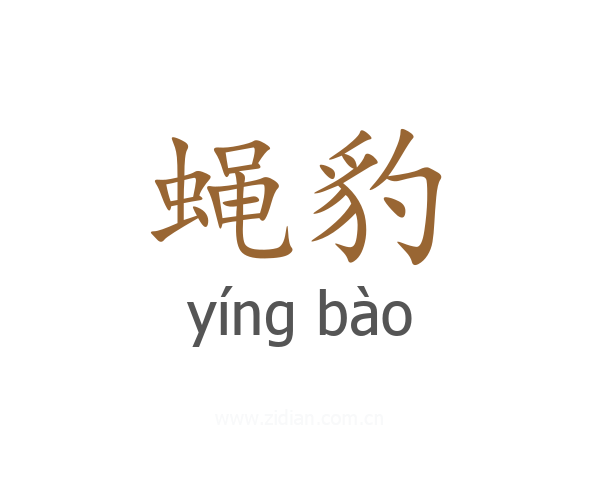蝇豹