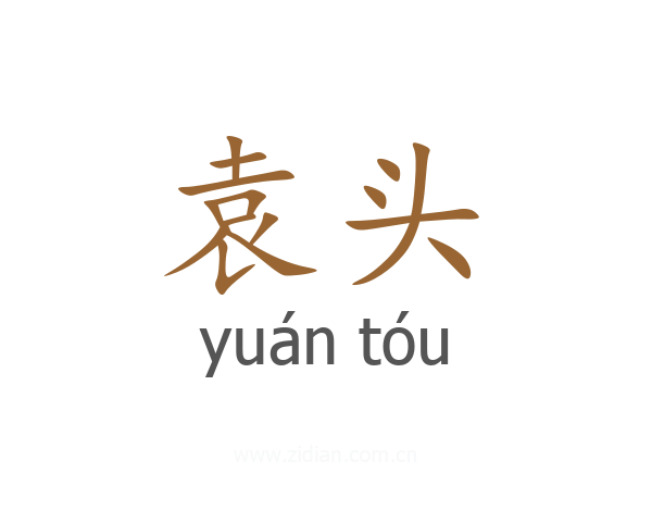 袁头