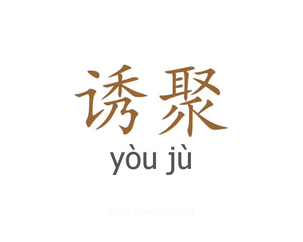 诱聚
