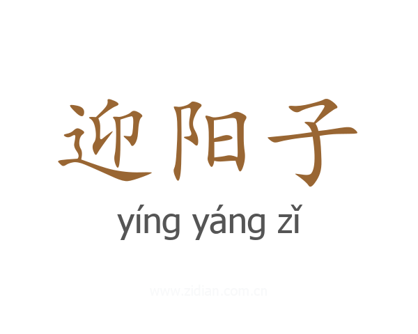 迎阳子