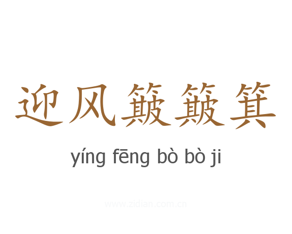 迎风簸簸箕
