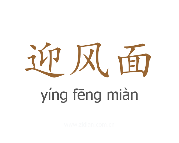 迎风面