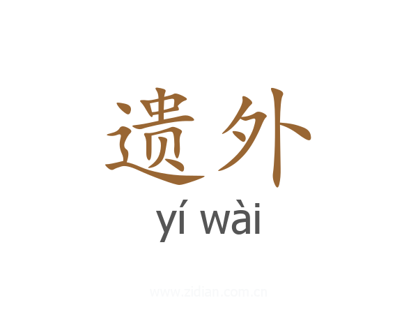 遗外