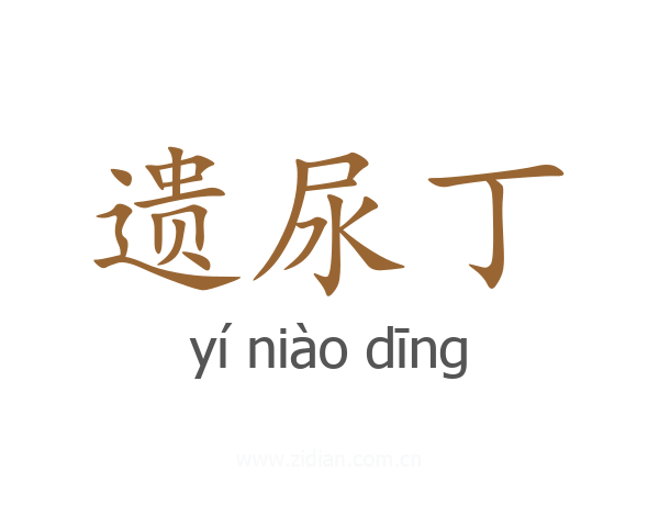 遗尿丁