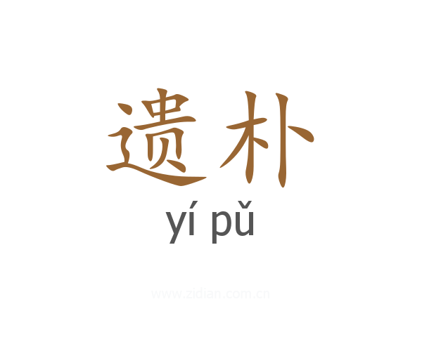 遗朴