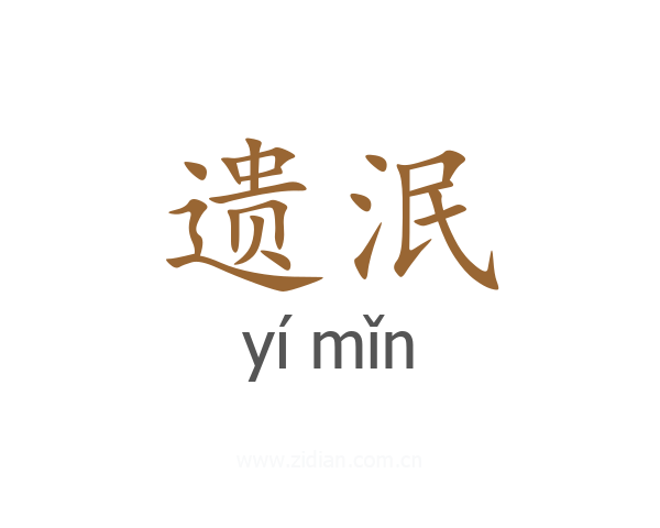遗泯