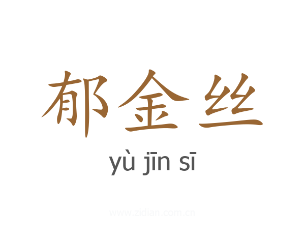 郁金丝