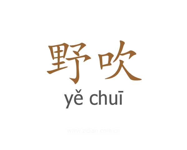 野吹