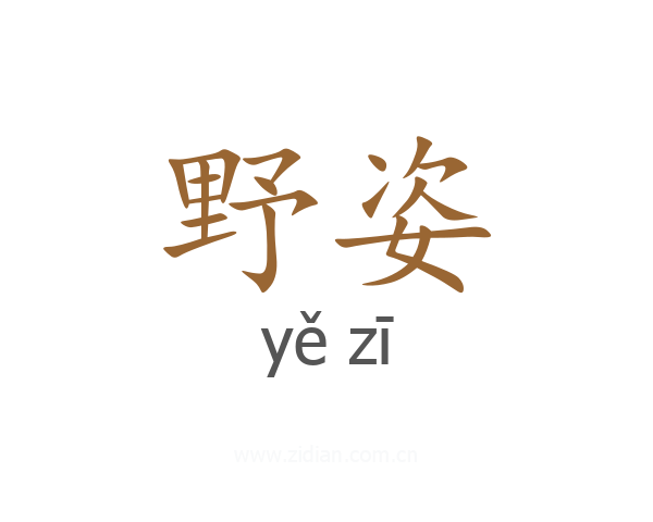 野姿
