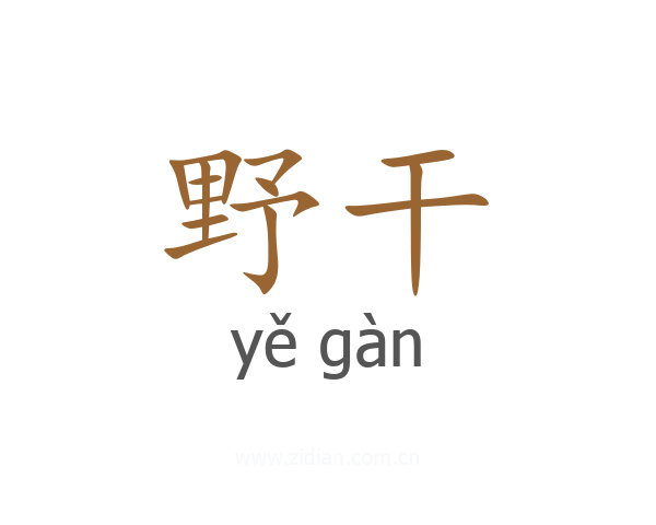 野干