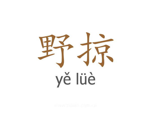 野掠