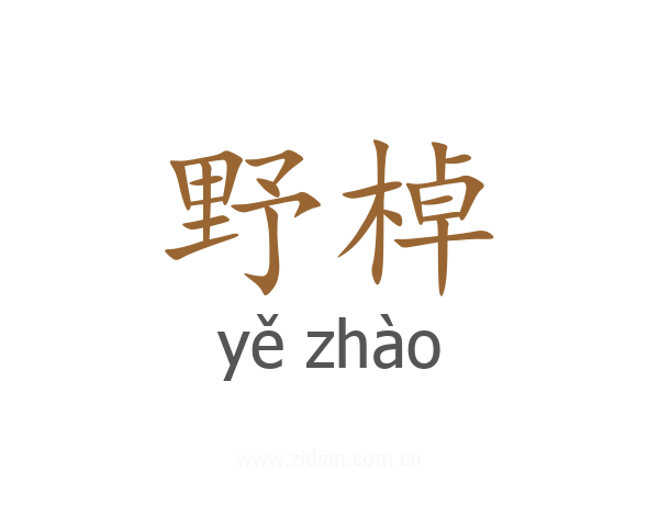 野棹