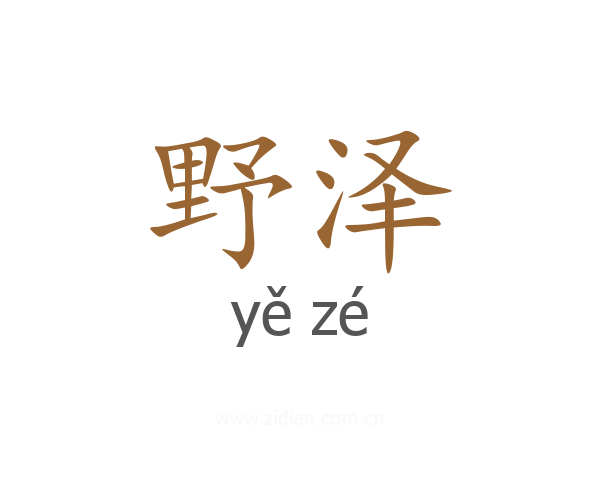 野泽