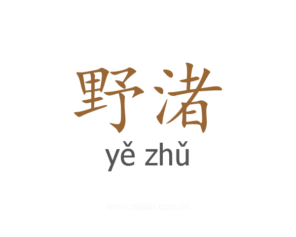 野渚