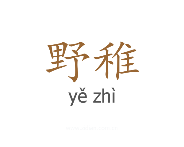 野稚