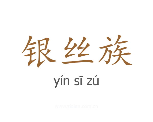银丝族