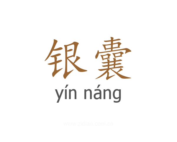 银囊