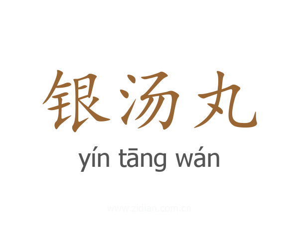 银汤丸