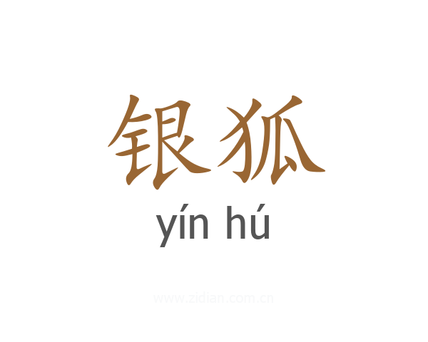 银狐