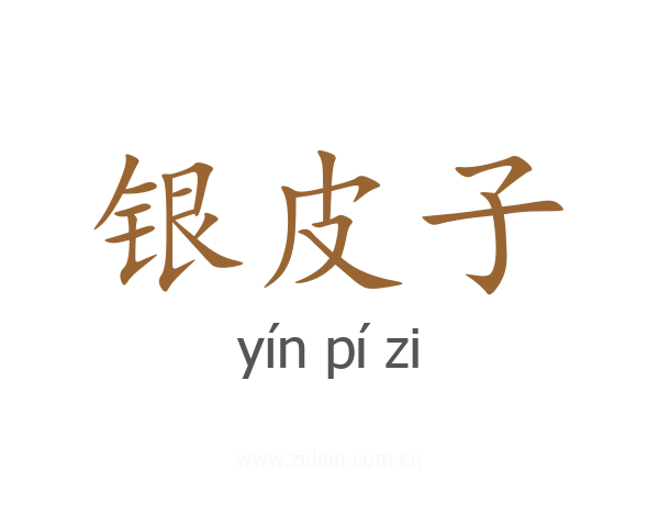 银皮子