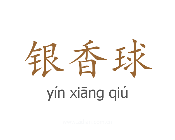 银香球