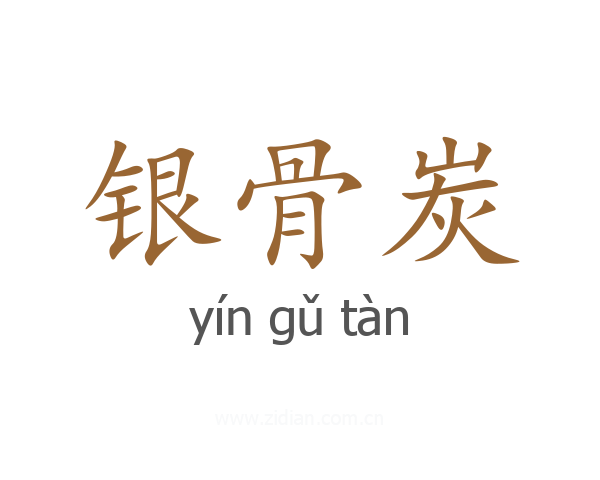 银骨炭