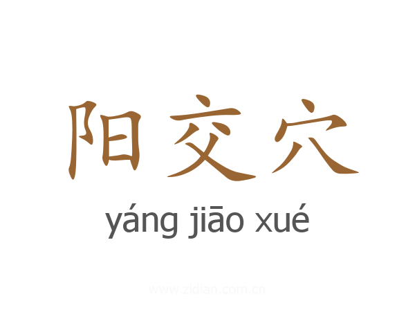 阳交穴