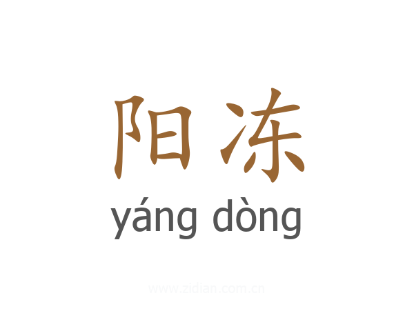 阳冻