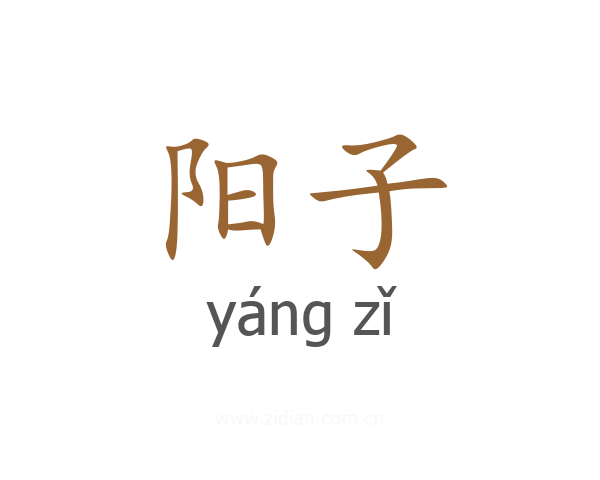 阳子