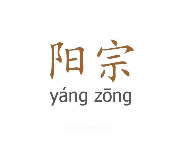 阳宗