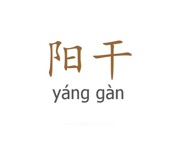 阳干