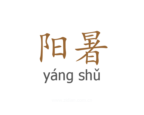 阳暑