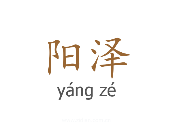 阳泽
